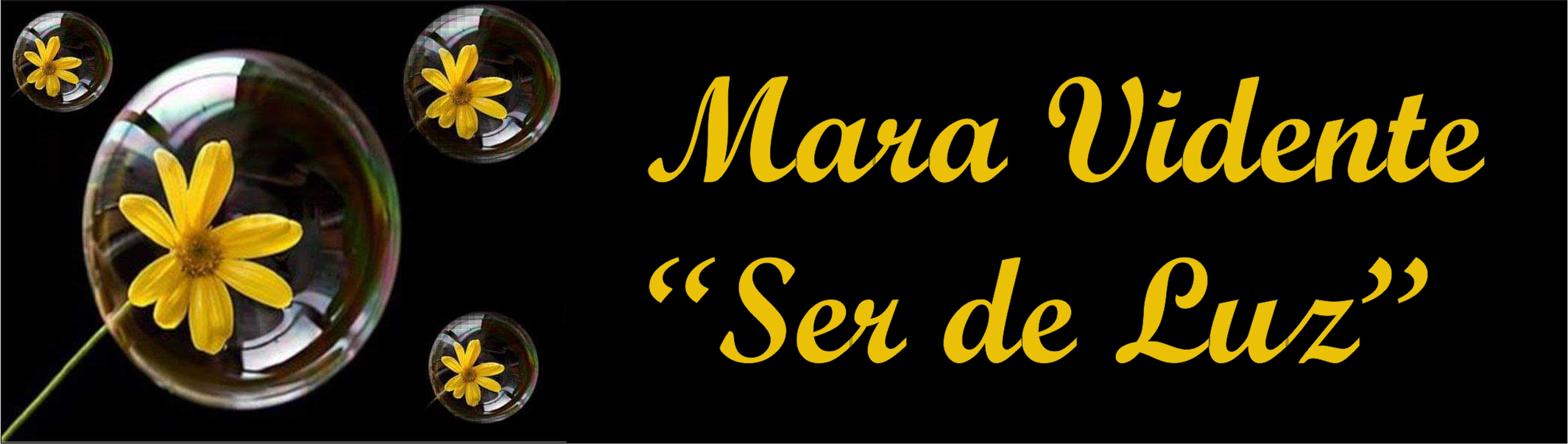 Mara Vidente
